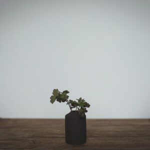 Small textured cylindrical bud vase in a dark earth colour. Shown with Aquilegia stem // Fâs blagur silindrog gweadog bach mewn lliw daear tywyll. Wedi'i ddangos gyda choesyn Aquilegia