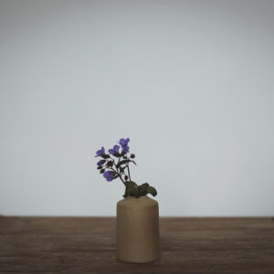 Small, sand coloured bud vase with a textured finish, Shown with a purple aquilegia flower // Fâs blagur bach, lliw tywod gyda gorffeniad gweadog, Wedi'i ddangos gyda blodyn aquilegia porffor